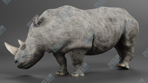 images/goods_img/20210312/3D White Rhinoceros Rigged model/4.jpg